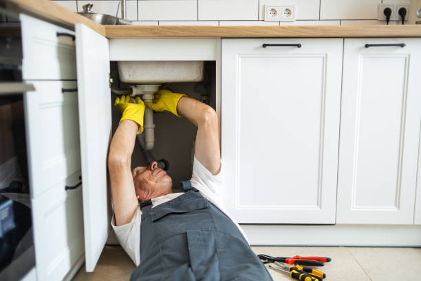 Best Commercial Plumbing Services  in Cicero, IL